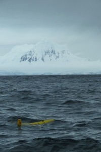 AUV with Mt. Williams in the background.